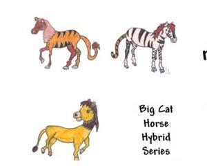 Big Cat/horse hybrid 6 card set